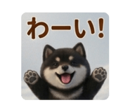 886190086