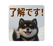 886190088