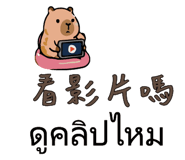 886195955