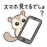886203601