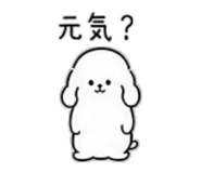 886204658