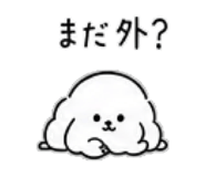 886204664