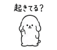 886204666