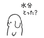 886204680