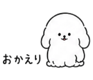 886205355