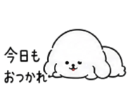 886205373