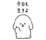 886205380