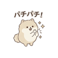 886214877