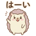 886215043