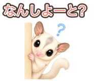 886224514