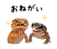 886232446