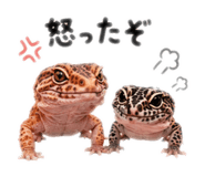 886232450