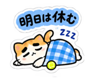 886240574