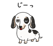 886242017