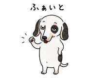 886242026