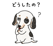 886242027