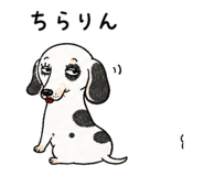 886242039