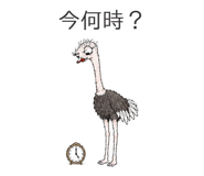 886242255