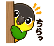 886242624