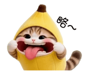 886270608