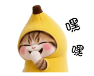 886270612