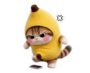 886270617