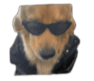 886273454