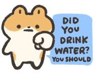 886276592
