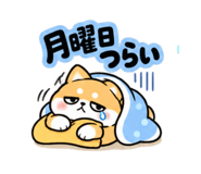 886279043