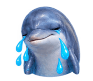 886280021