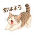 886287033