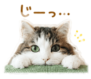886291246