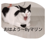 886292093