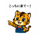886292518