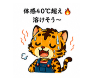 886292762