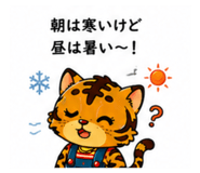 886292784