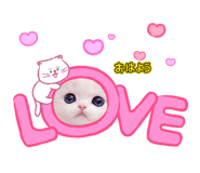 886299669