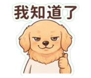 886303419