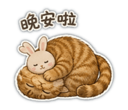 886303581