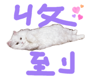 886314938