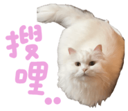 886314941