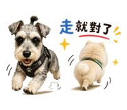 886322413