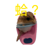 886331635