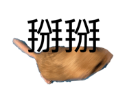 886331639