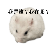 886331644