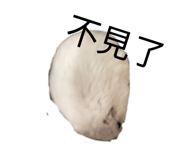 886331653