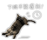 886332556