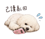 886334659