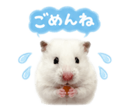 886339642