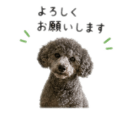886339716
